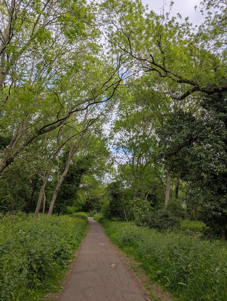 Natalie_MLW's tweet photo. Today's #3Positives

1. Nice wander round Norton Common on my mobility scooter 🌳

2. Managed to get a doctor's appointment booked in the end 👍🏼

3. Leftover lunch from yesterday - nice and easy lunch 🍽️ https://t.co/98jxwhWQKS