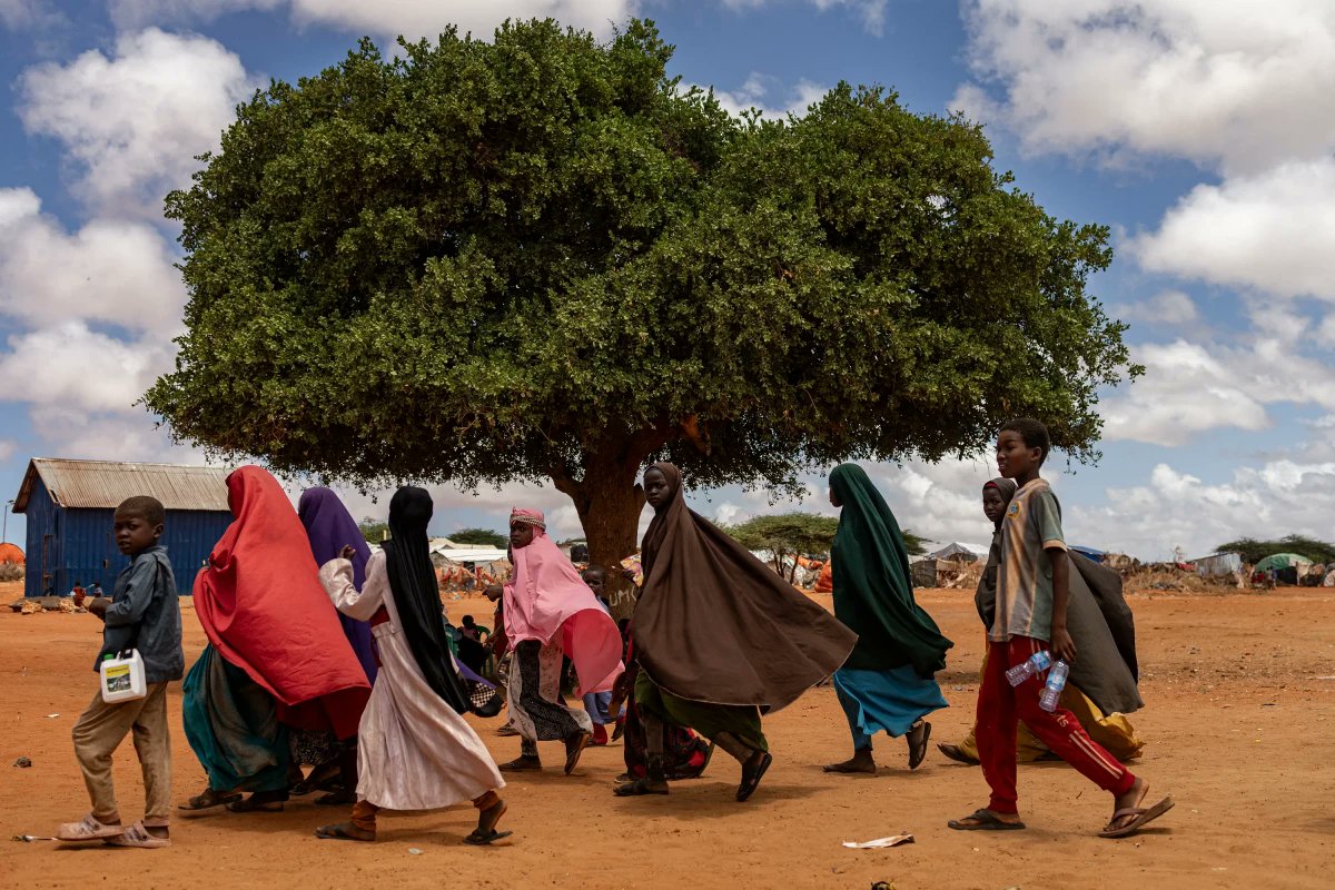 Mecra's tweet photo. Gözlerden ve gündemlerden uzakta, Somali'de büyük bir insanî kriz yaşanıyor: Mülteci kamplarında kuraklık ve açlık kol geziyor...

https://t.co/XwkOJRAUHh https://t.co/duKCflR3DA