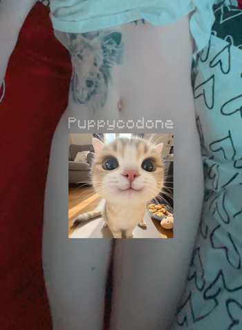 puppycodone🐾✨ tweet media