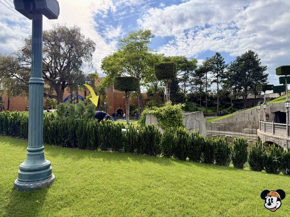 DLP Works tweet media