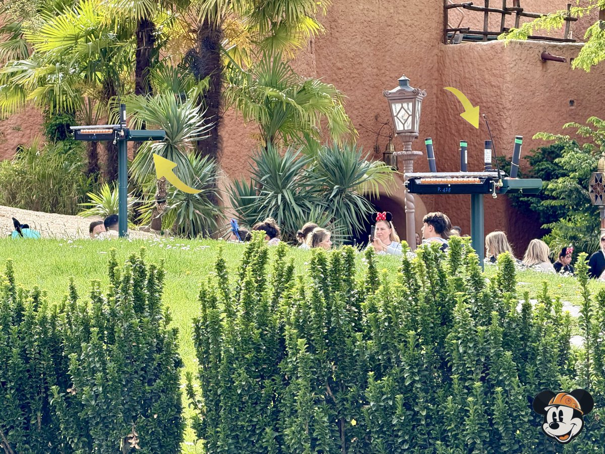 DLP Works tweet media