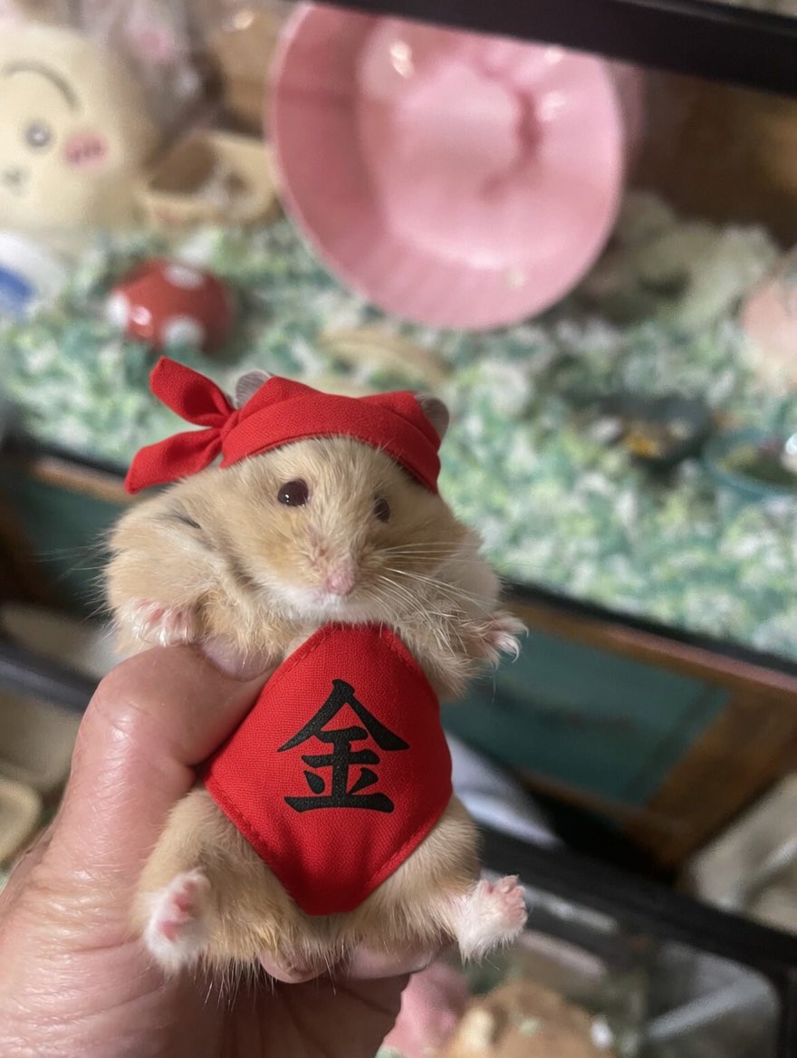 kirakira69kira's tweet photo. 待って🤣🤣🤣
腹よじれるっ🤣🤣🤣 https://t.co/rSsVWT3eIY