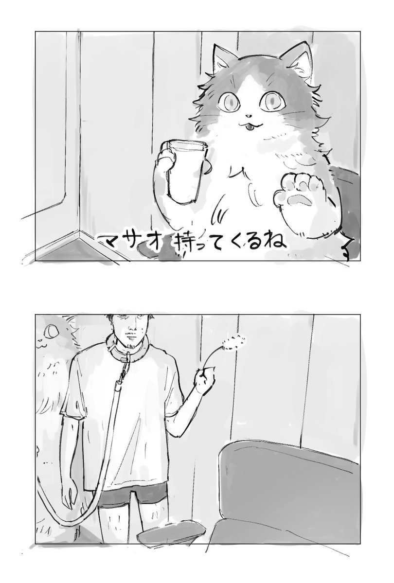 のヨ tweet media