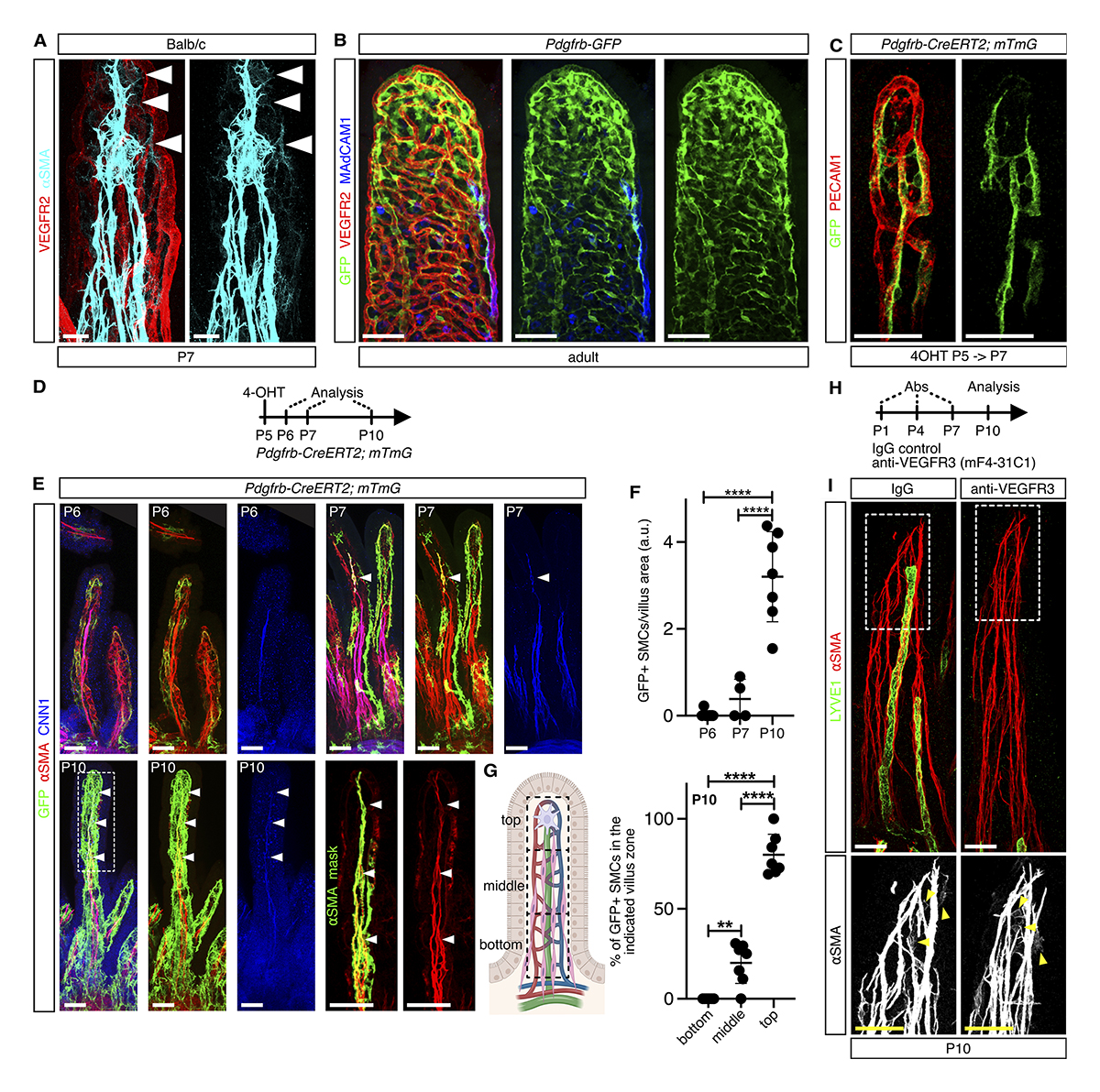 Journal of Cell Biology tweet media