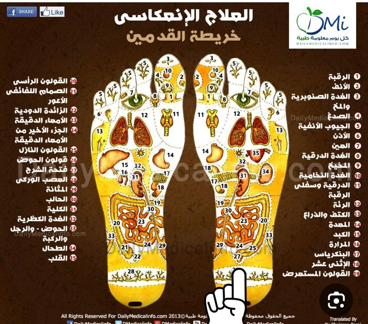 ssal97's tweet photo. لتخفيف انتفاخ القولون دالك منتصف باطن القدم لمدة ٣ دقائق https://t.co/5mn1MY7PZl