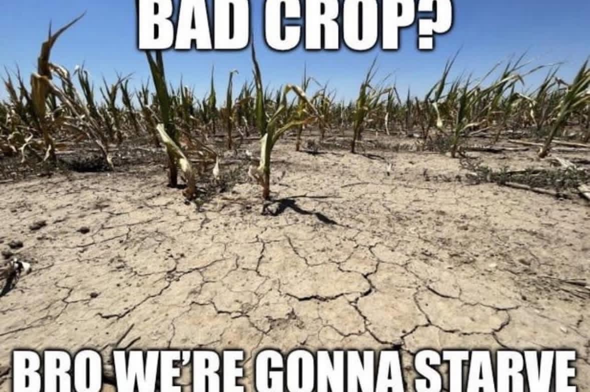 kaiserbeef's tweet photo. @SiekerSales @swksfarmer https://t.co/OOYLTVihco
