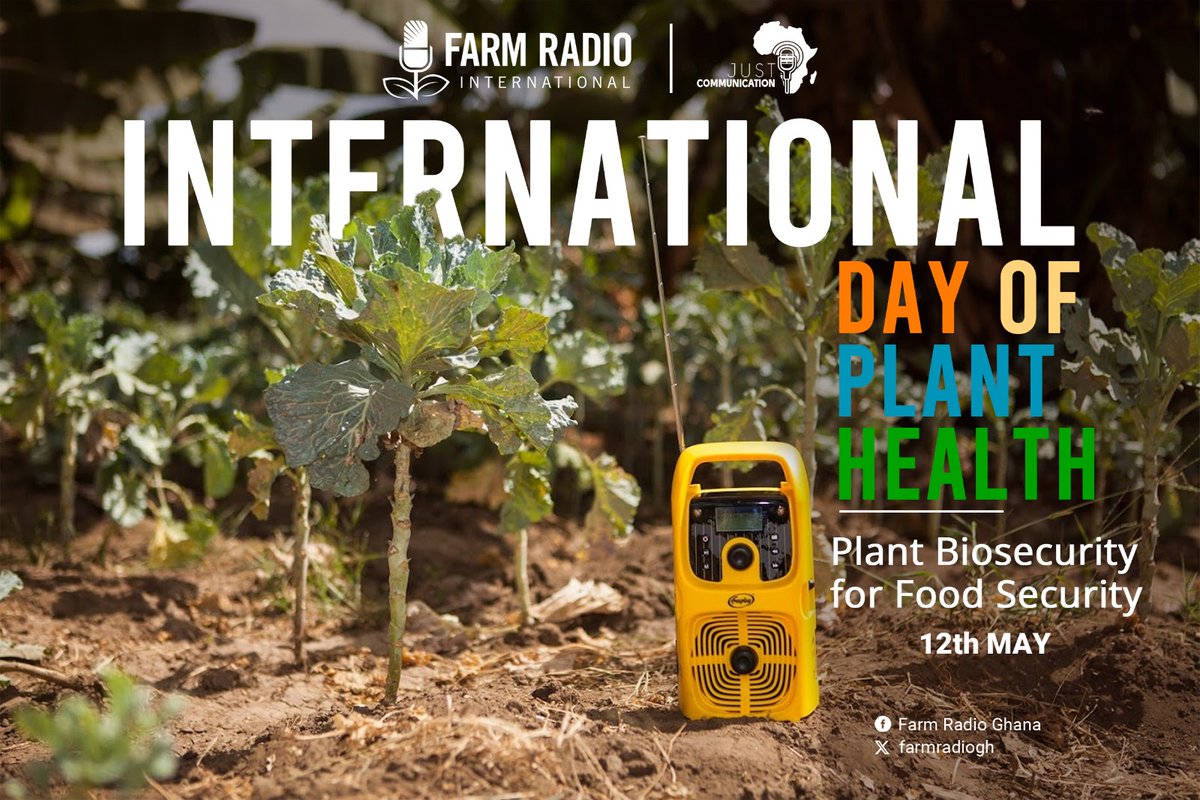 farmradiogh's tweet photo. Healthy plants mean food security and resilient livelihoods.
For years,@farmradiogh has supported farmers with practical radio information on crop protection, pest management, and climate-smart farming.
Happy International Day of Plant Health! https://t.co/iYFTaqLjNX