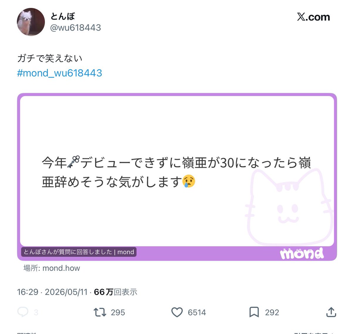 っょぉ tweet media