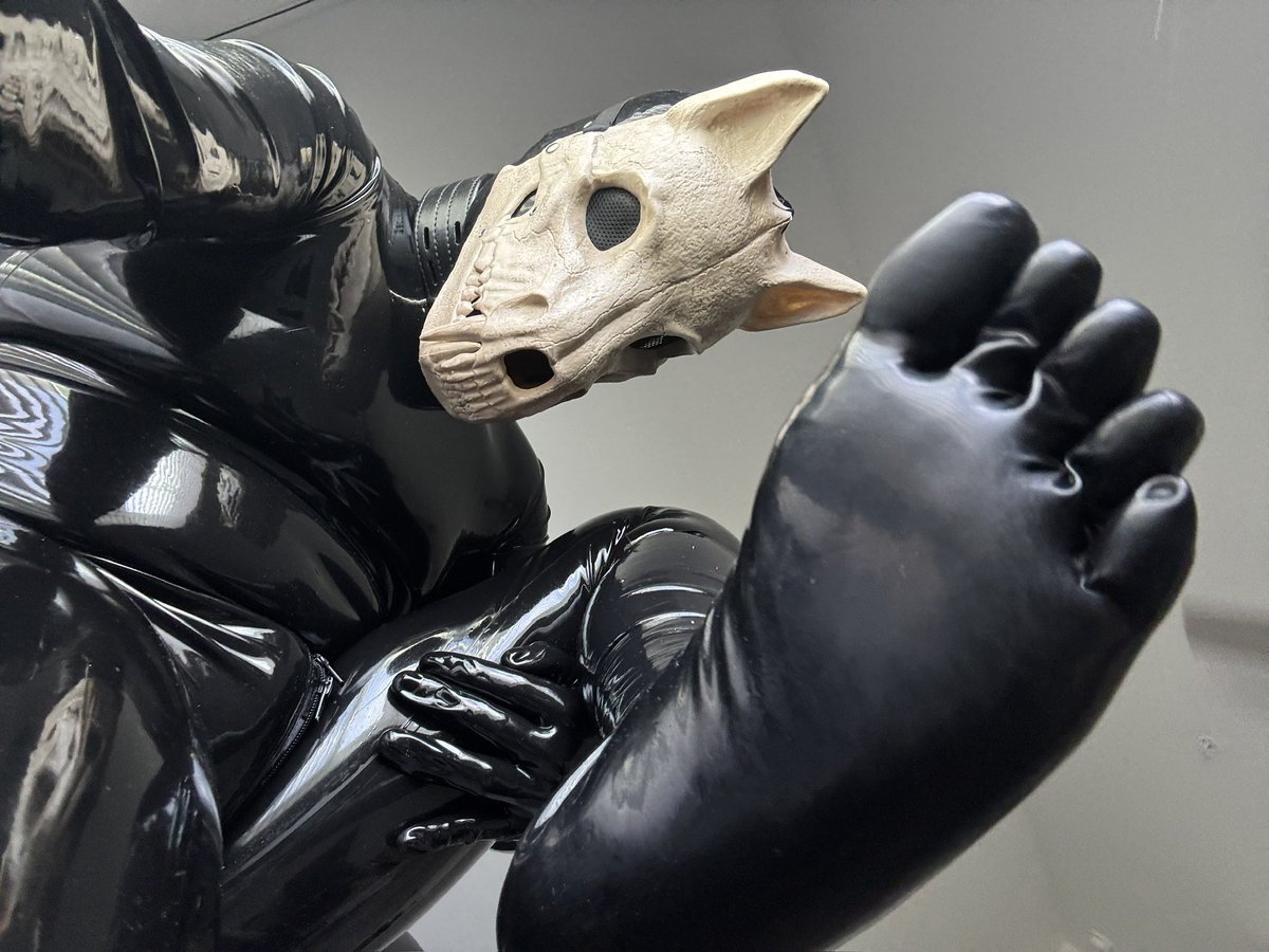 latexchub's tweet photo. 🐶 https://t.co/mJWMuDTFW1