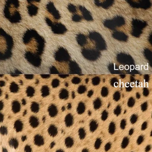 LeopardPrint.com tweet media