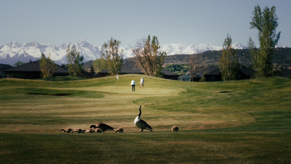 MarkusVanMeter's tweet photo. When you want to play thru but the group in front has other ideas. https://t.co/NXiNxdbaWg