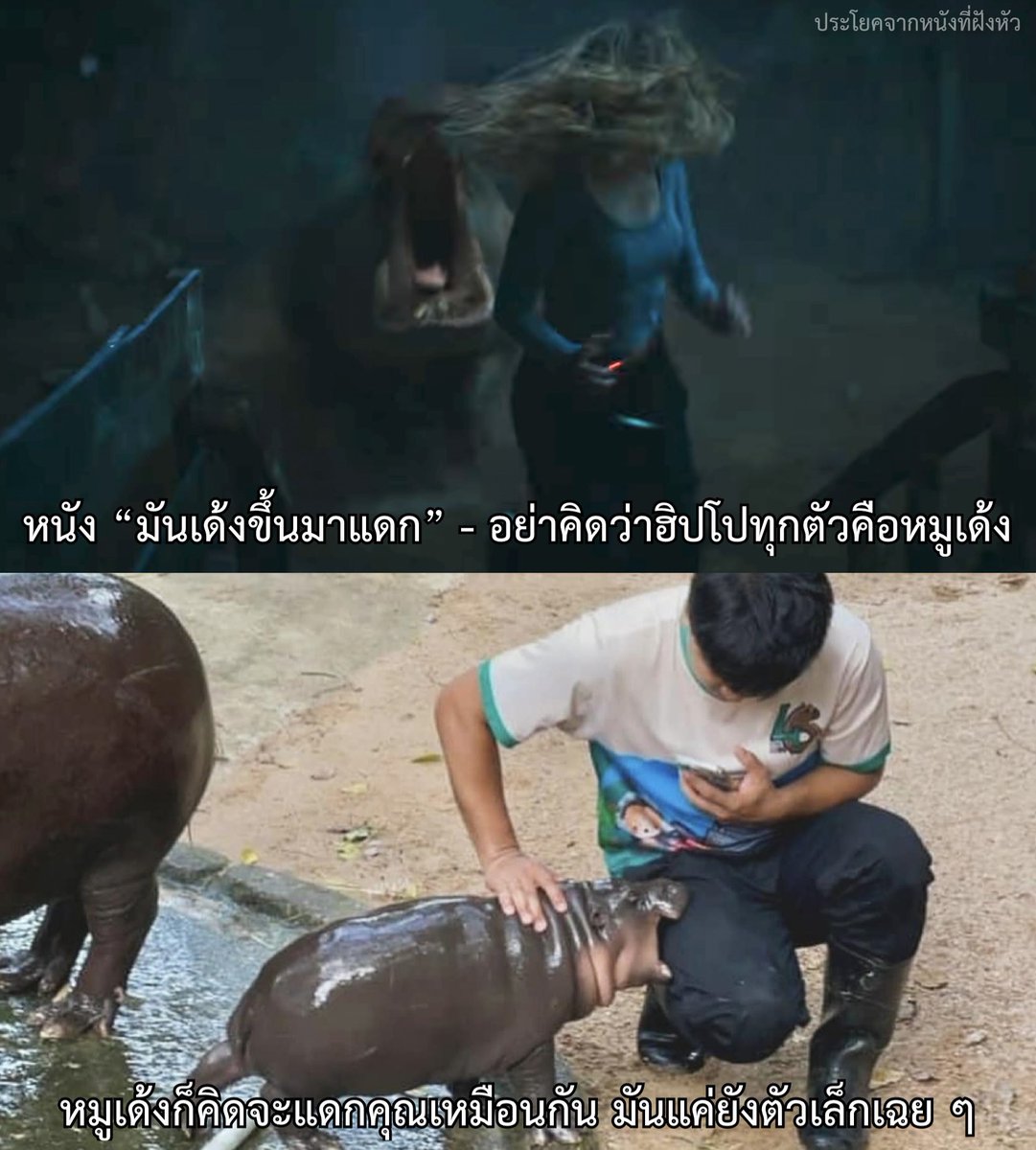 ประโยคจากหนังที่ฝังหัว tweet media