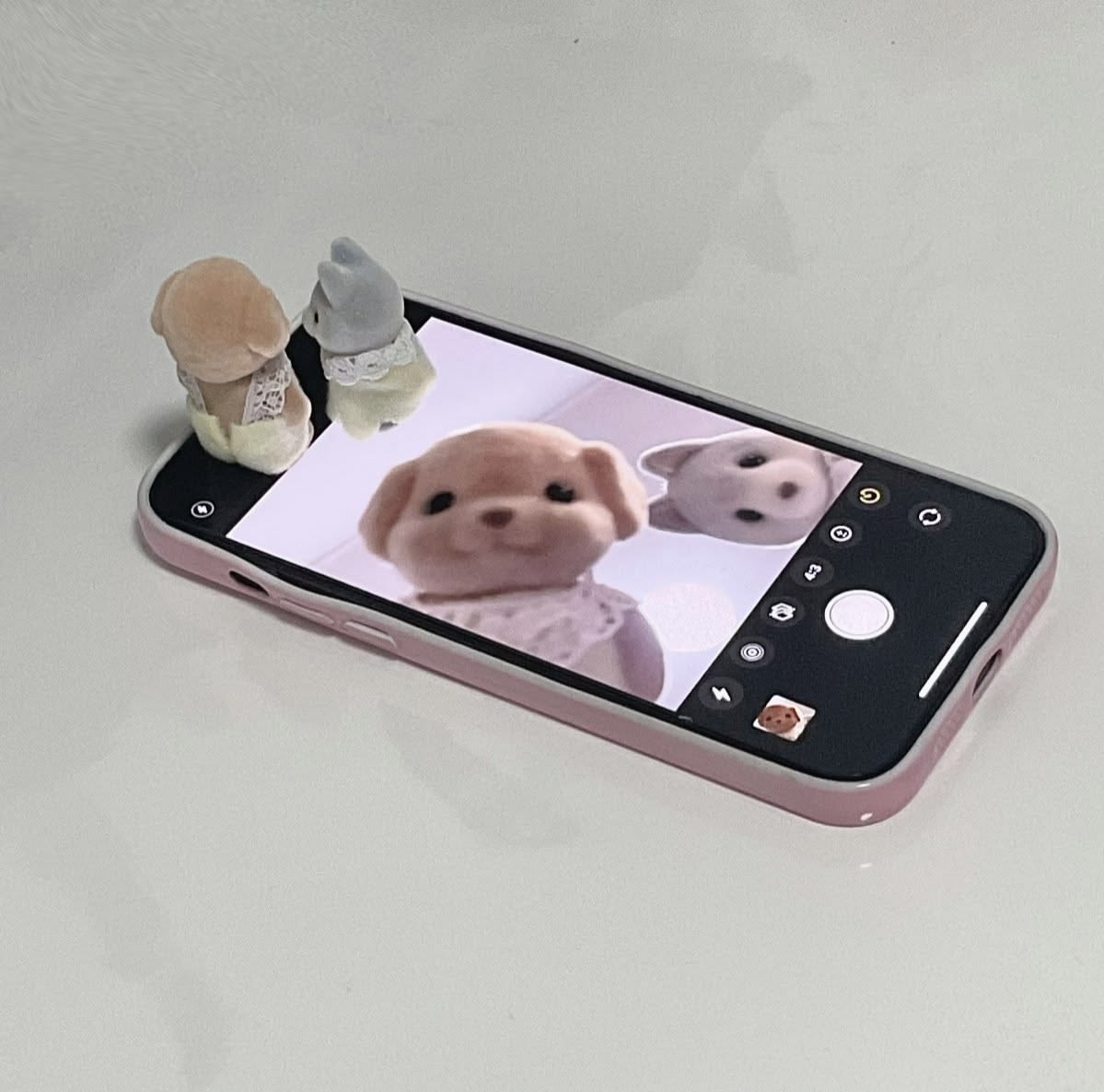 gal౨ৎ tweet media