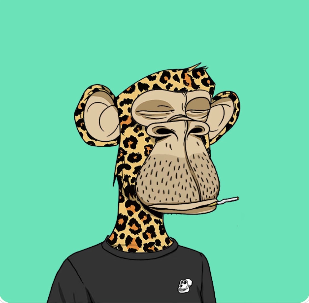 rootygang's tweet photo. We BAYC? https://t.co/6VwbAV42Jz