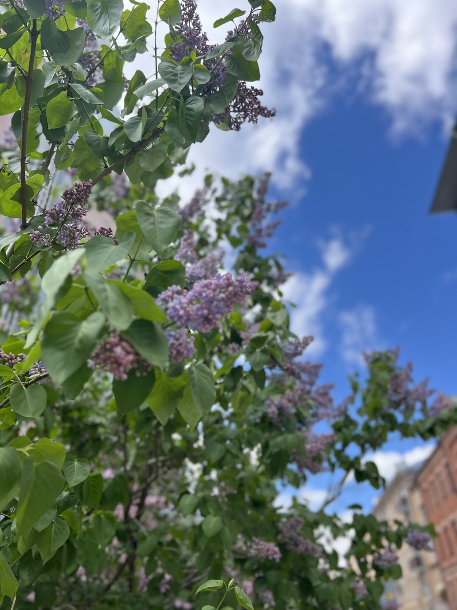 alleshov's tweet photo. #MoscowSpring https://t.co/ZPA6O1Hxim