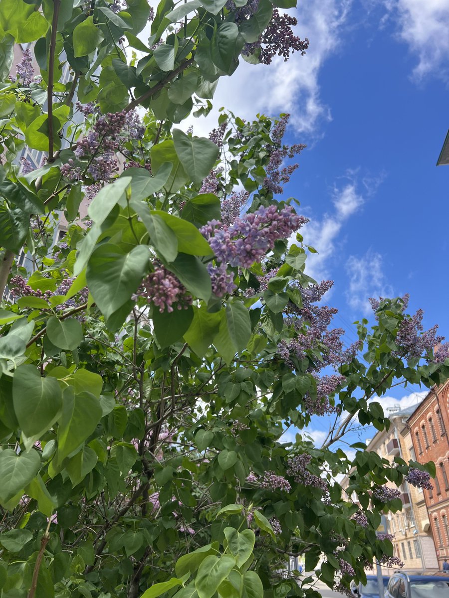 alleshov's tweet photo. #MoscowSpring https://t.co/ZPA6O1Hxim