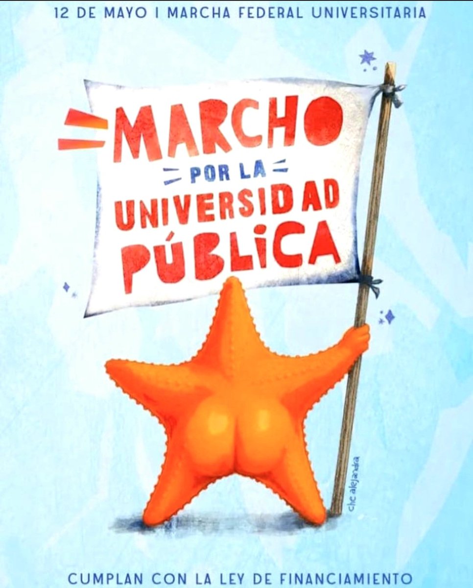 PetruCba tweet media