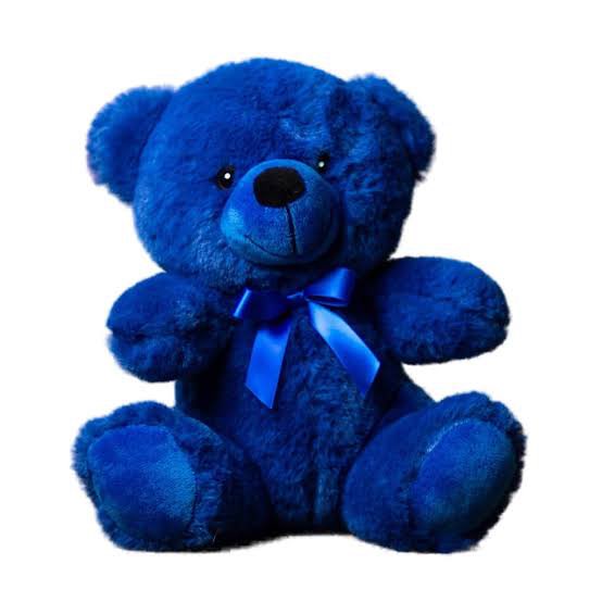 BaconLovingMD's tweet photo. Inside were a mug, a bouquet of flowers, a teddy bear (a pun on his name) and an assortment of candy and chocolate https://t.co/LNSdLSBqLD