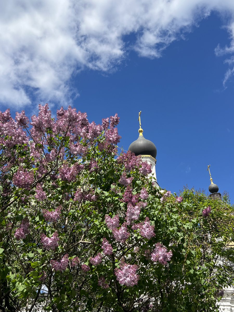 alleshov's tweet photo. #MoscowSpring https://t.co/ZPA6O1Hxim