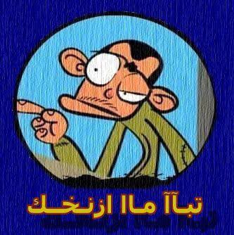 مزيونة اردنية ♥️ 🇯🇴❤ tweet media