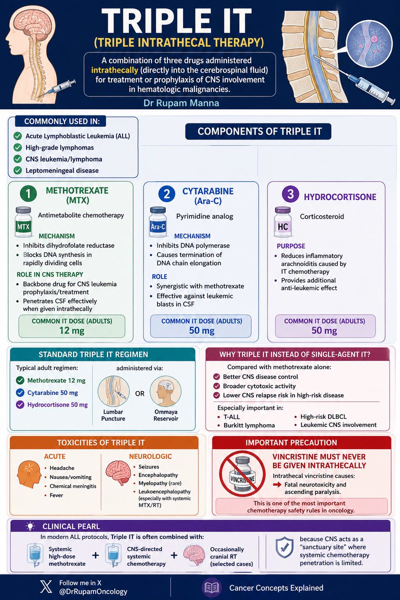 DrRupamOncology's tweet photo. 🧠 Triple IT (Triple Intrathecal Therapy) is a cornerstone of CNS prophylaxis and treatment in hematologic malignancies.

Understanding the role of:
✔️ Methotrexate
✔️ Cytarabine
✔️ Hydrocortisone

is essential in managing:
🔹 ALL
🔹 High-grade lymphomas
🔹 CNS leukemia/lymphoma
🔹 Leptomeningeal disease

⚠️ And remember:
Intrathecal Vincristine = FATAL neurotoxicity.

A must-know concept for every oncology trainee and clinician.

#TripleIT #IntrathecalTherapy #MedicalOncology #HemOnc #ALL #Lymphoma #CNSLeukemia #LeptomeningealDisease #Chemotherapy #OncologyEducation #MedEd #CancerConcepts #DrRupamManna #OncologyResident #Hematology #NeuroOncology #CancerConceptsExplained