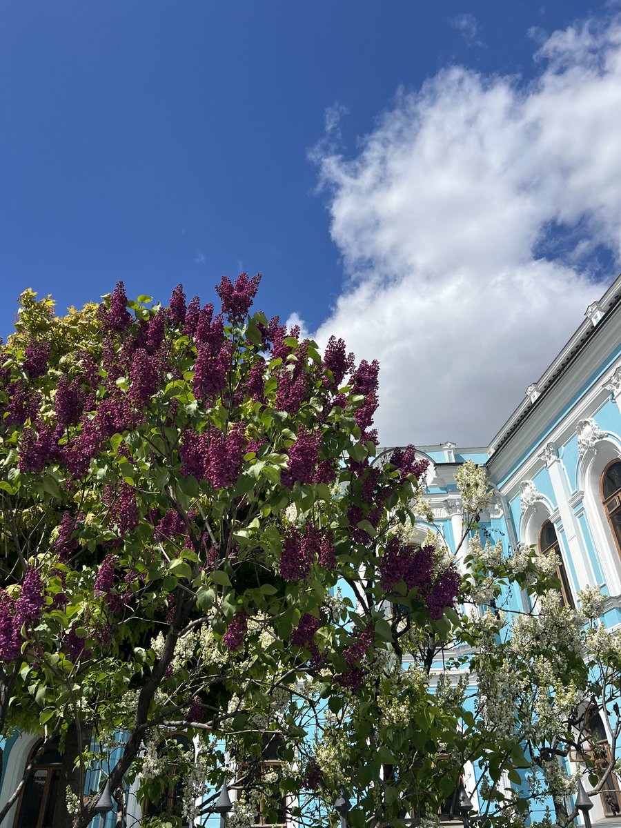 alleshov's tweet photo. #MoscowSpring https://t.co/ZPA6O1Hxim