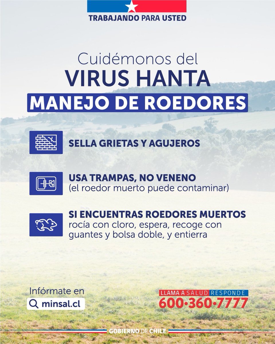 FelixHfb's tweet photo. 🛑🐭 Prevenir el Hantavirus comienza en casa. Mantener el entorno limpio, sellar grietas y manejar de forma segura la presencia de roedores son medidas clave para cuidar la salud de todos y todas.

Infórmate, comparte y adopta estas recomendaciones. #Prevención #Hantavirus https://t.co/rIdVQjwYcm