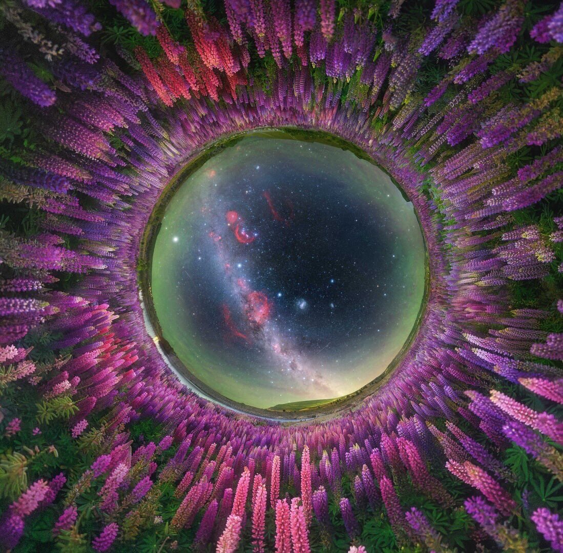 Star Walk tweet media