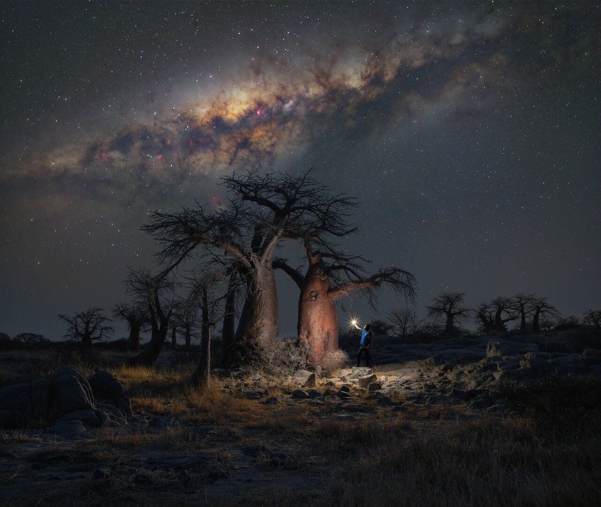 Star Walk tweet media