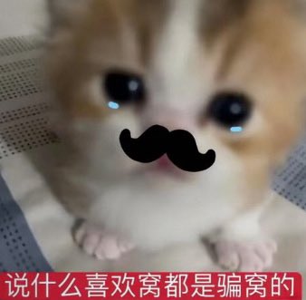 Popu（唉 tweet media