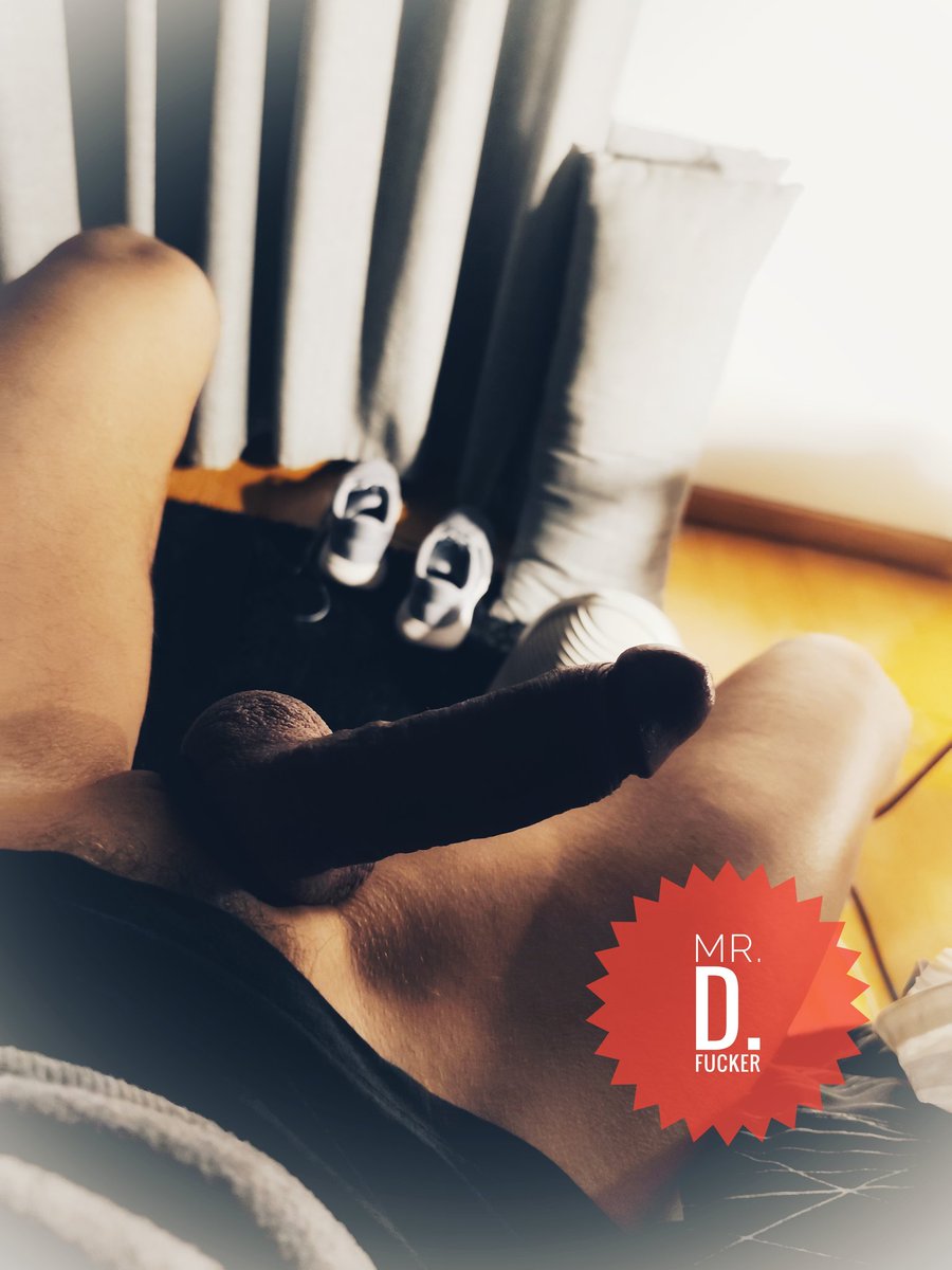 Mr D. xxx 🇵🇹 tweet media