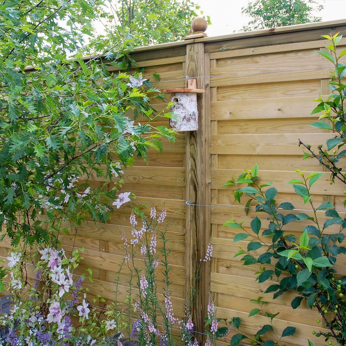 Jacksonsfencing's tweet photo. Two looks, one versatile design. 

Our Hit and Miss fence panels can be installed vertically or horizontally, making them a flexible choice for gardens. 

Our Hit and Miss fencing: https://t.co/dAySCvGqvh

#hitandmissfencing #modernfencing #outdoorliving #gardendesign https://t.co/IueazivO6Z