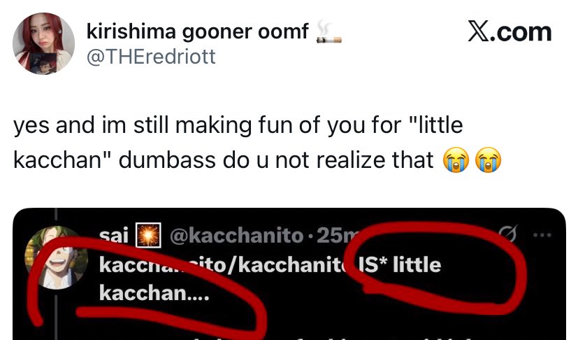 kacchanito's tweet photo. in spanish ito/ita after a name isn’t usually LITERAL.

i’m not calling kacchan little size wise. 

i’m calling him “my little kacchan” affectionately. my parents still call me sayurita and i’m 5’10. instead of apologizing you’re arguing against a language you DON’T speak. 😭😭? https://t.co/ilWNuOpeN3