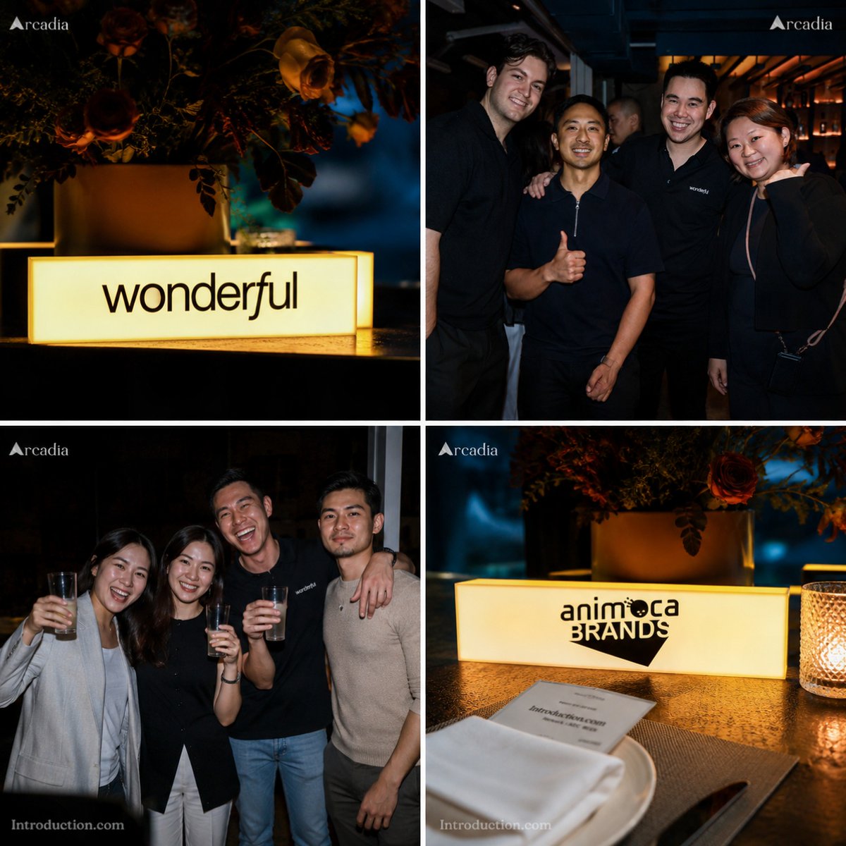 Introduction.com tweet media