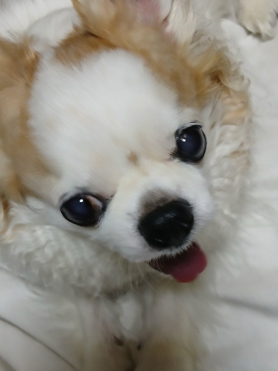 アトさん tweet media