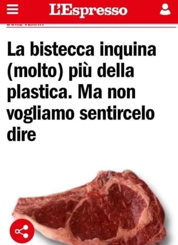 Fely 💤🇮🇹 tweet media