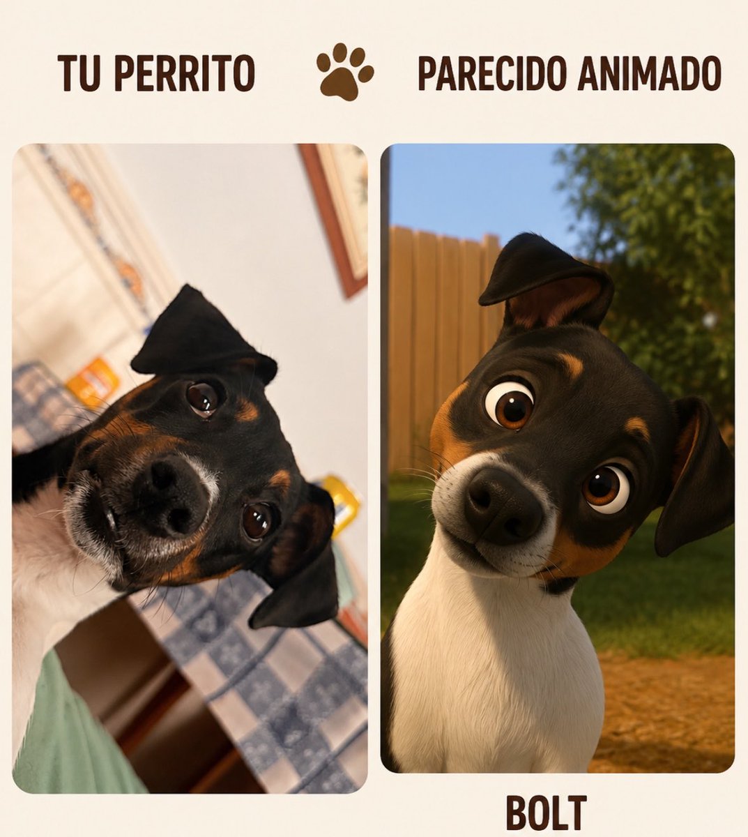 lydixsx's tweet photo. Chati dice que Luna se parece a Bolt JAJAJAJA https://t.co/3RVajSGmqv
