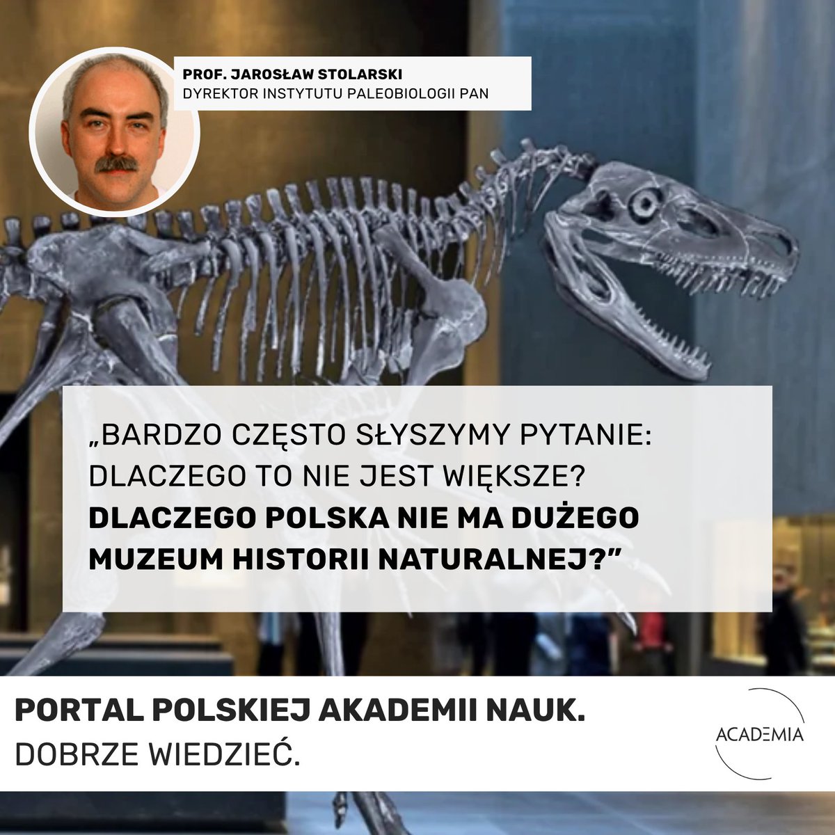 AcademiaPAN's tweet photo. W magazynach instytutów PAN znajdują się kolekcje dinozaurów z pustyni Gobi, historyczne zbiory zoologiczne i materiały pozwalające badać zmiany środowiska sprzed epoki przemysłowej. Polska wciąż nie ma dużego Muzeum Historii Naturalnej. 

Academia. Dobrze wiedzieć.