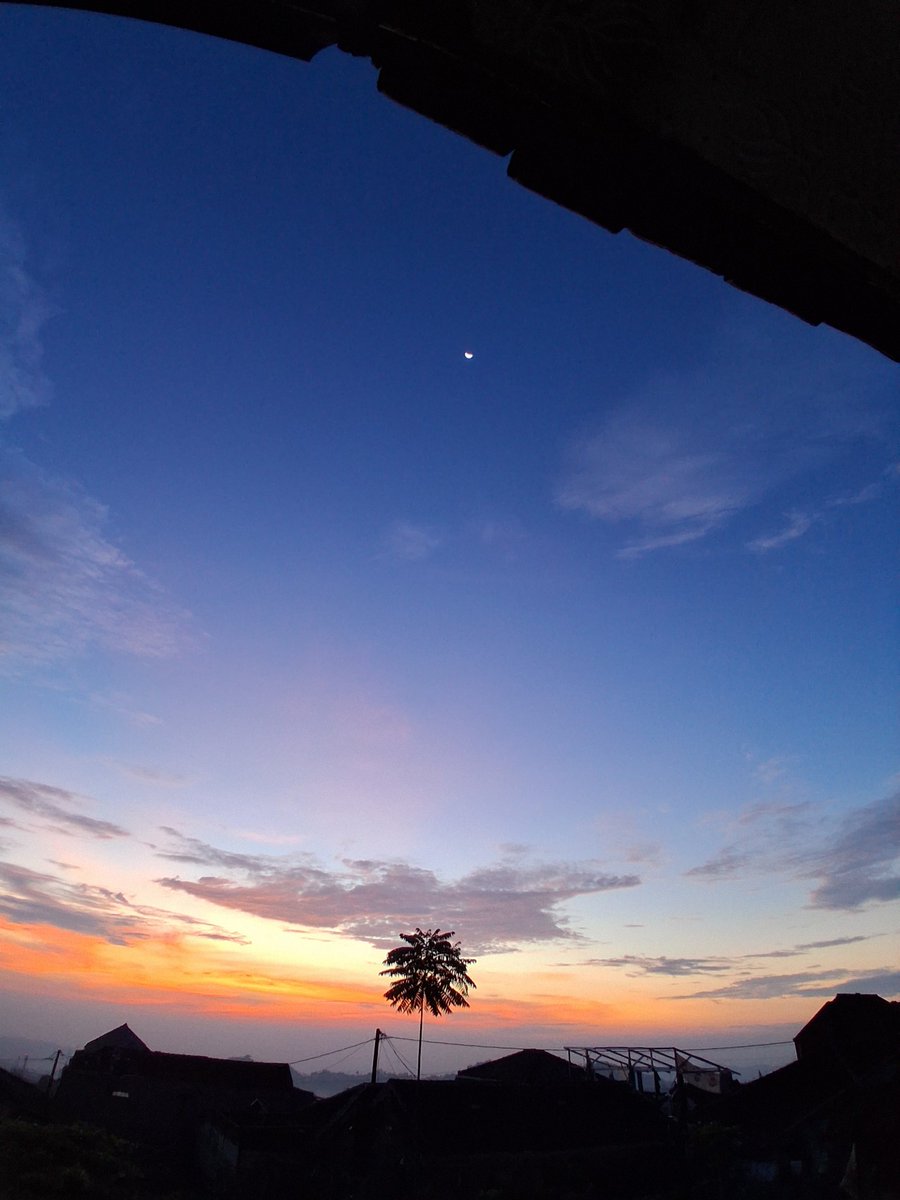 ______halcyon's tweet photo. golden hour, the moon, nature-they remind me that i'm alive. https://t.co/H8ygiO92Jt
