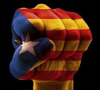 Proteston Hocicon tweet media