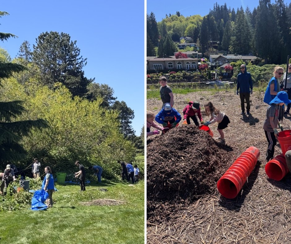 City of Bothell tweet media