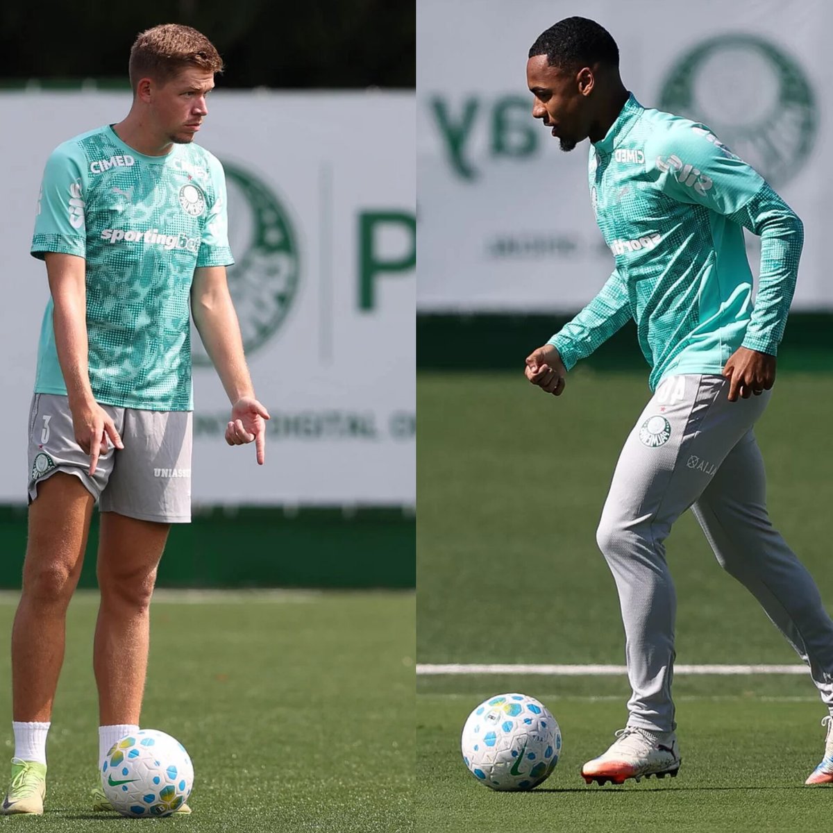Planeta do Palmeiras 🌎 tweet media