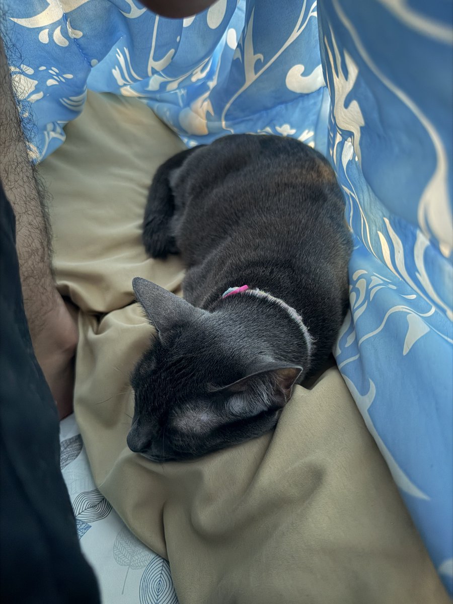 คือผมต้องทราบไหม 🐈⬛ tweet media
