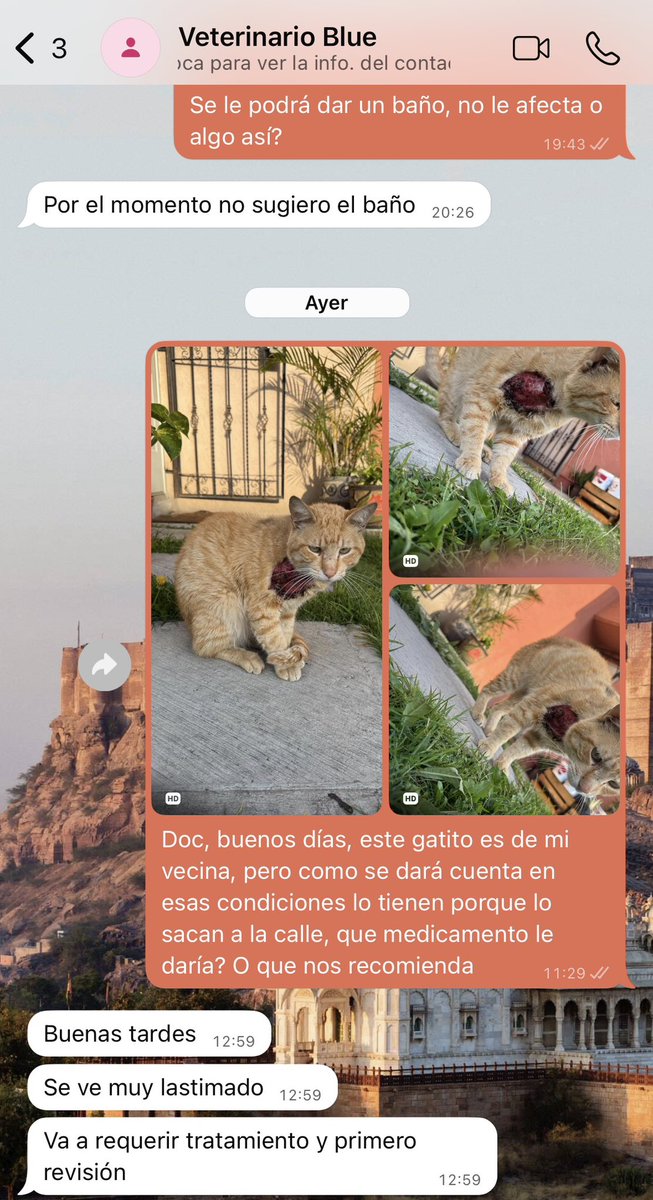 asm_99ve's tweet photo. @adrianm10 @CristianRey___ @ElCristianReyy 

Tiren paro para su tratamiento, hay gente todo ojete que no cuida a sus mascotas

😡 https://t.co/JYlocQuBKE