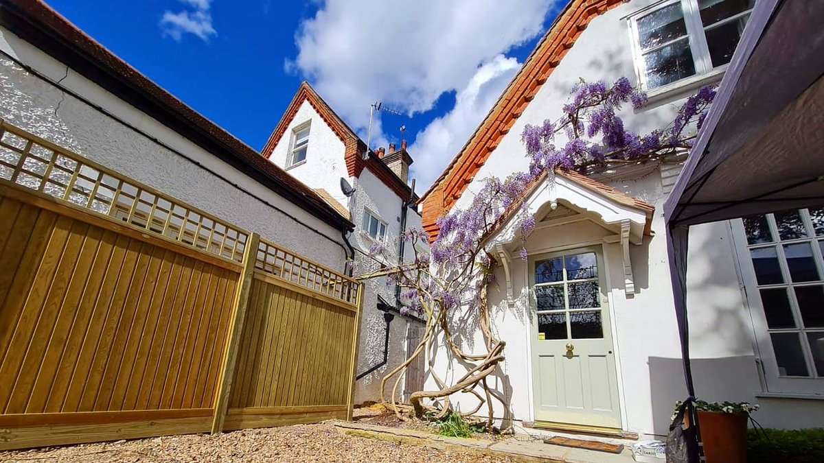 Jacksonsfencing's tweet photo. Wisteria in bloom and a fence to match 🌸 Tongue and Groove Effect panels with a square trellis topper bring a solid, classic finish to this beautifiul front garden. 

Our Tongue and Groove panels: https://t.co/8PjRShyrof https://t.co/lsmsfTI7e5