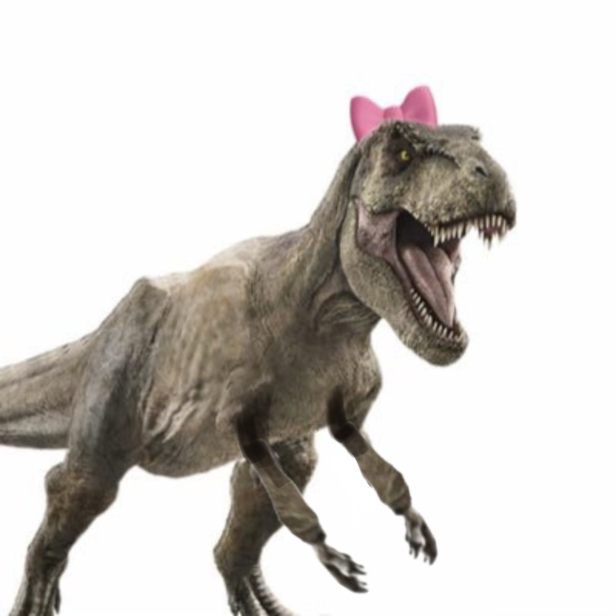 Daily Dinosaur News (@DailyDinoNews) / Posts / X