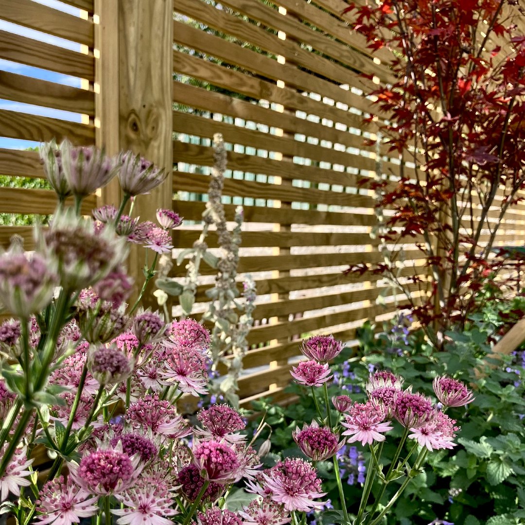 Jacksonsfencing's tweet photo. Modern fencing is more than a boundary. 

From sleek slatted designs to solar innovation, the right choice can elevate your whole garden.

Discover five future‑focused fencing ideas in our blog: https://t.co/X7uDvUUmKk https://t.co/CJIOLyRNTp