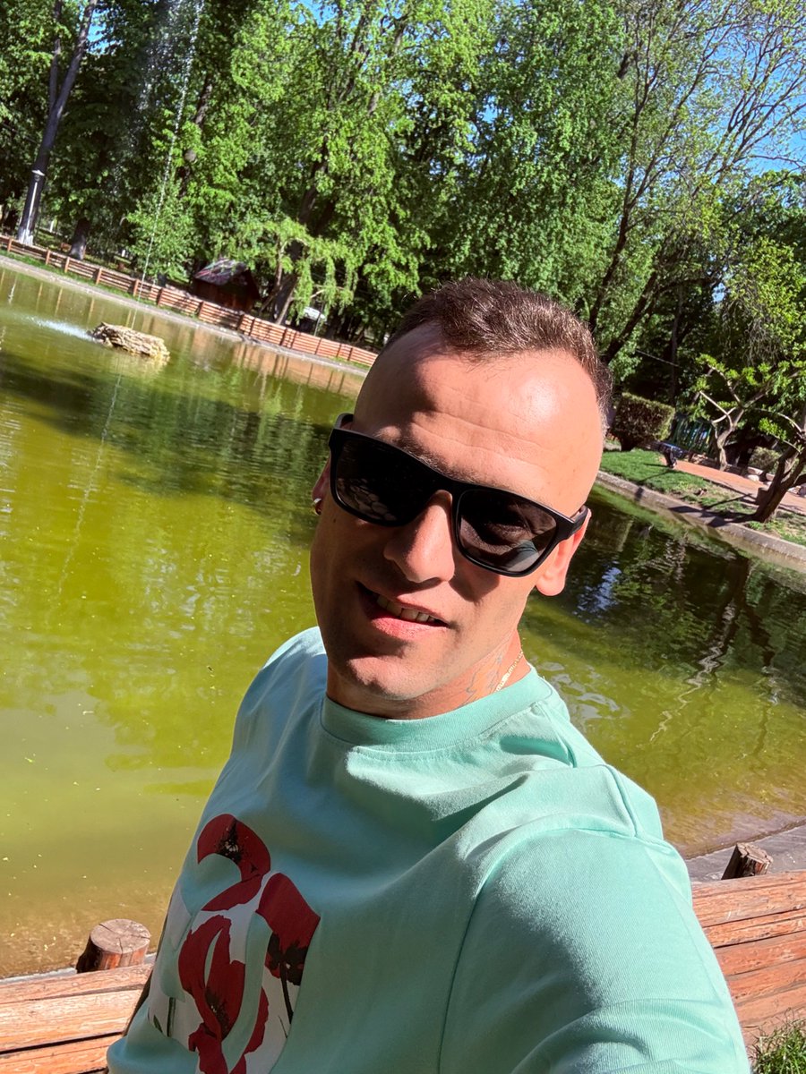 stefan tweet media