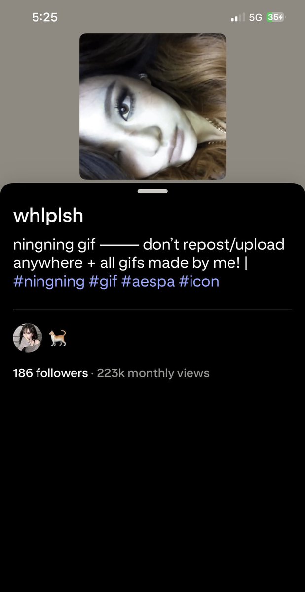 tee ꕤ | petal 31.7.26 tweet media