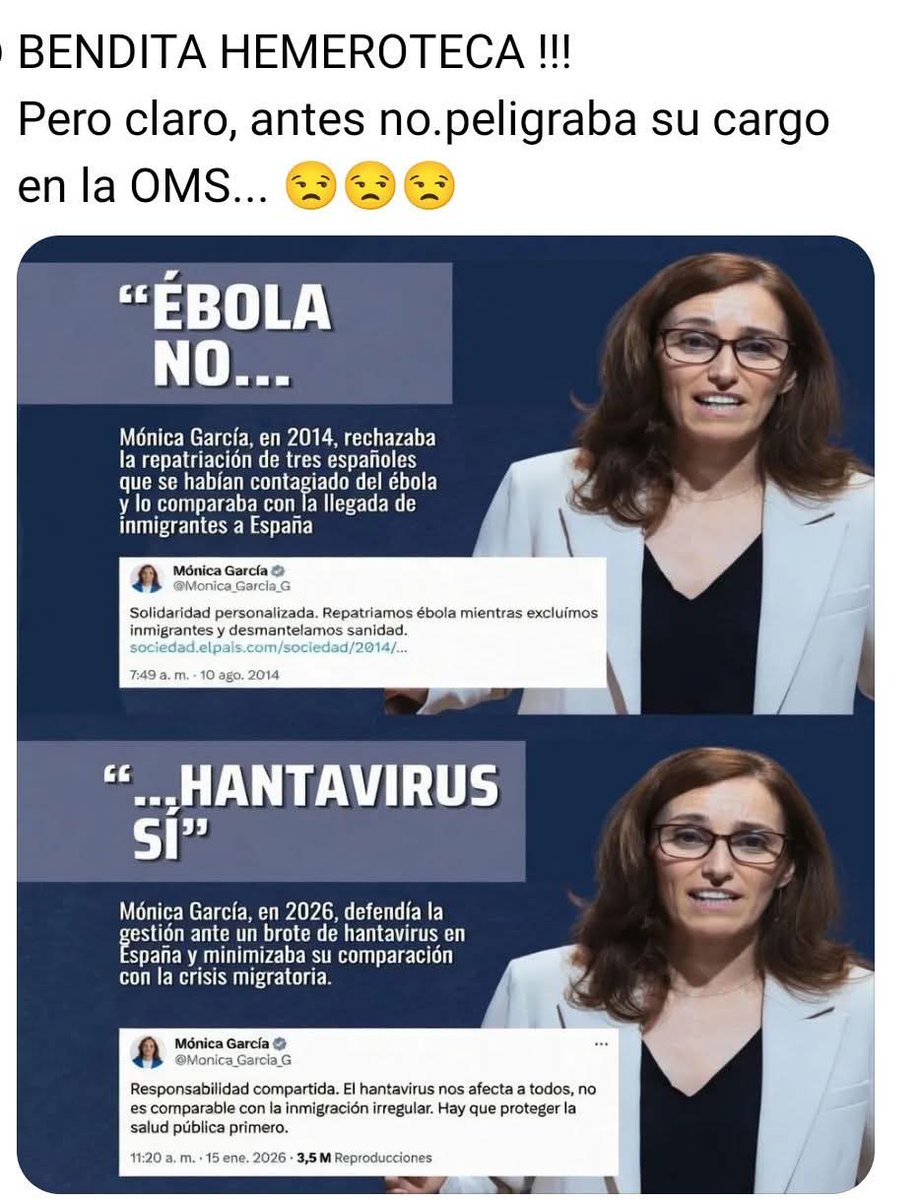 Mameluco tweet media